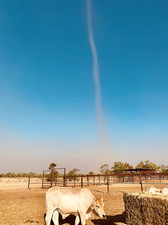 Dust Storm
