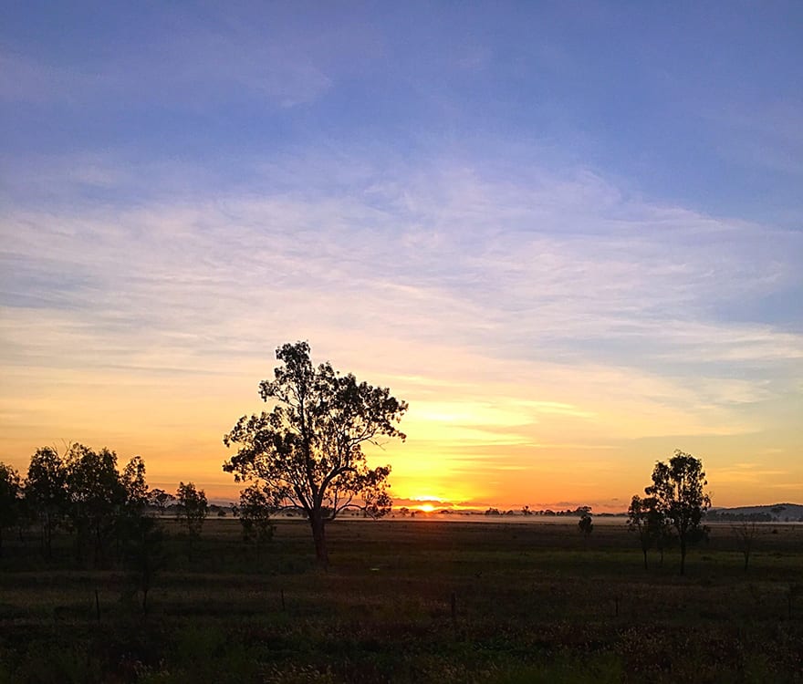 Sunrise