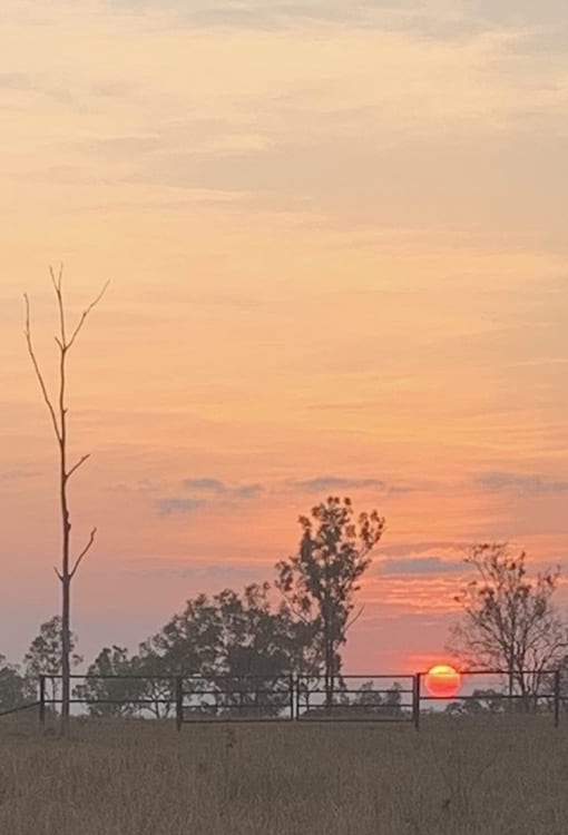 Spectacular Sun