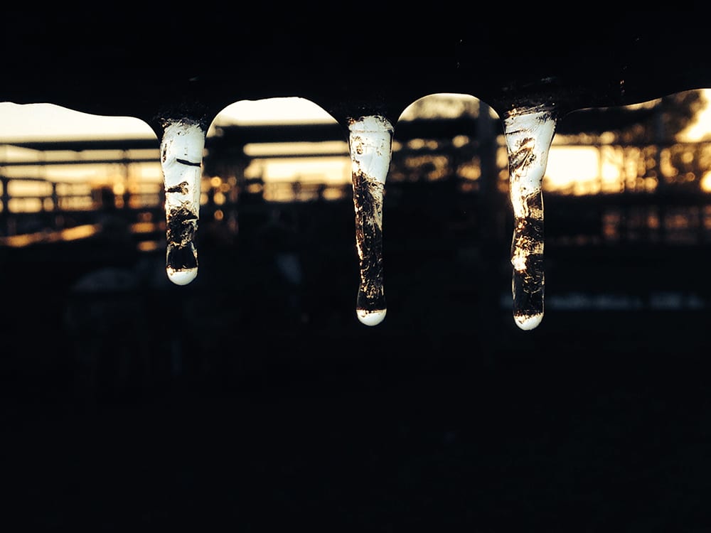 Frozen