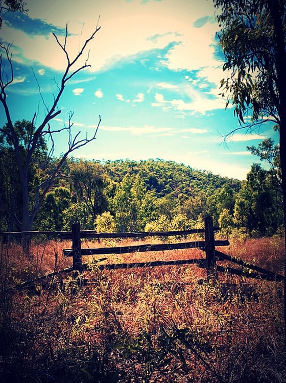 Rustic
