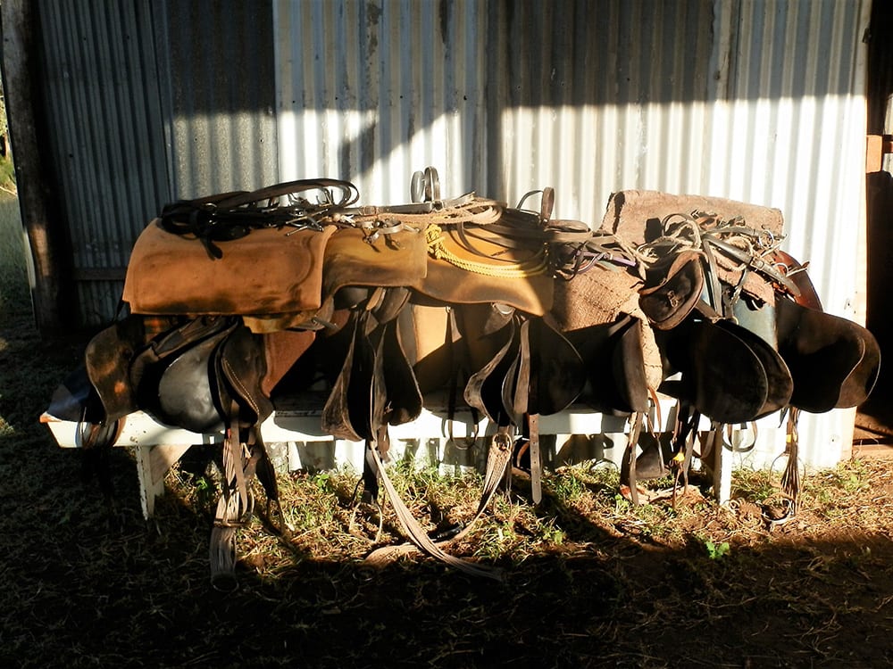 Saddles