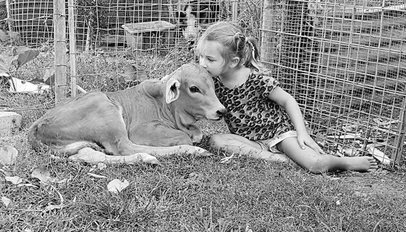 Milly and Zebry