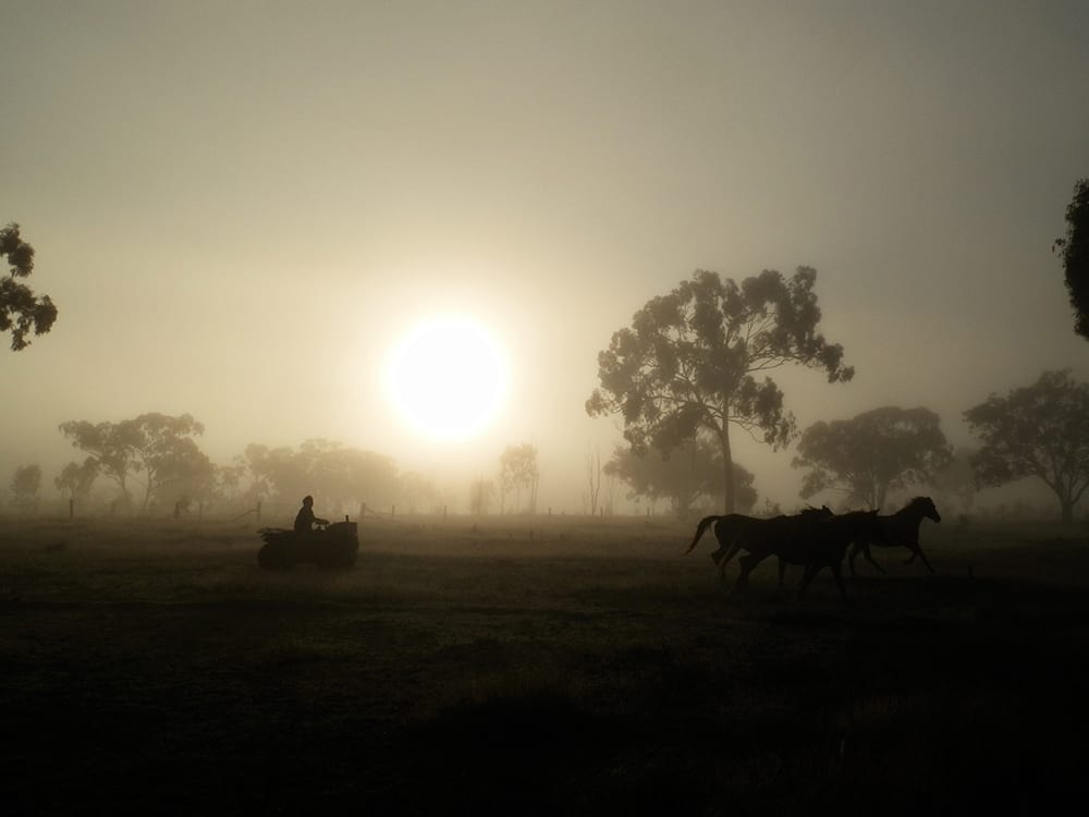 Running The Horses