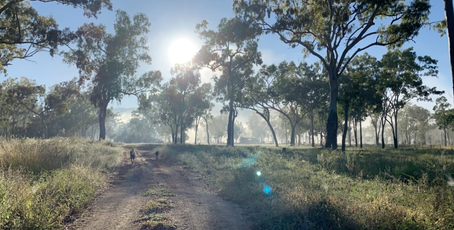 Hiding morning sun