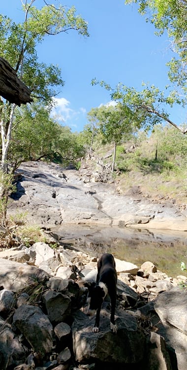 The still rocks