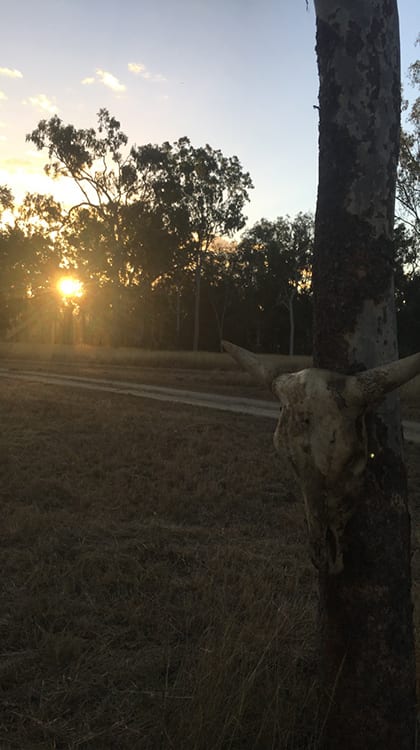 Sunset's focus