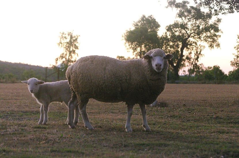 Mum and bub