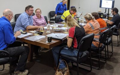 Weeds don't recognise property boundaries. LDC hosted an "Inspect and clean machinery for plant animal and soil material" (accredited training) workshop for local contractors in Collinsville in February.