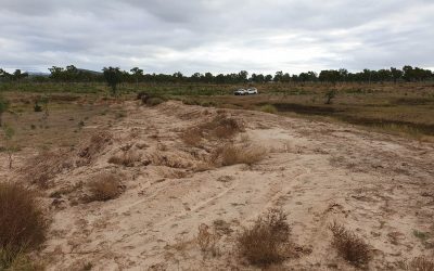 Site inspection of proposed remediation works to be carried out on Glenmore Station.