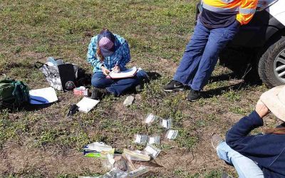 Archaeologist Michele Bird from North Queensland Cultural Heritage during the Birriah Cultural Heritage survey at Glen Bowen, records and labels artefacts that were found. The assessment concluded there were no impediments to accessing the project footprint.