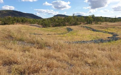 Pasture growth at the Glen Bowen Gully 1 site following good rainfall in the first quarter of this year.