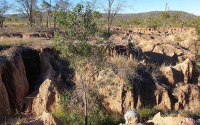 Carrying out an inspection of the LDC's fourth large scale gully site located on Strathmore Station. The figure pictured in the top right of the photo helps show the scale of the gully that will be remediated.