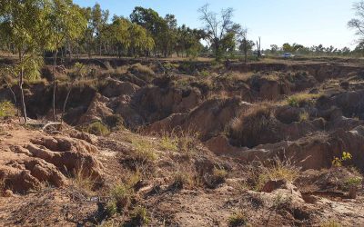 LDC's fourth large-scale gully on Strathmore Station was selected by the Griffity University project team as a high-value site to reduce fine sediments entering the Great Barrier Reef lagoon.