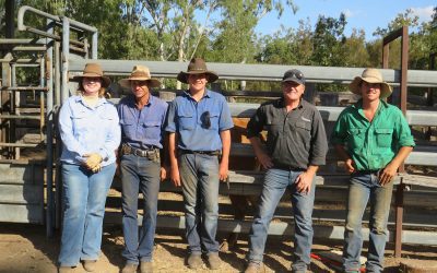 Julie Angus, Rodney Angus, Owen Angus, Reproscan trainer Colin Hammond, of Catagra Group, and Scott Angus.