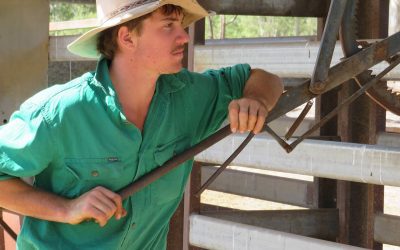 Scott Angus, of Mt Crompton, in the BBB.