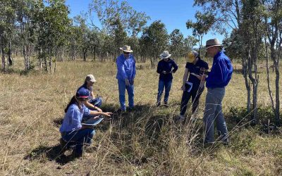 NQ Dry Tropics staff learning about the methods of PatchKey with a focus on data analysis. Land condition monitoring information is required for the strategic management of grazing land and for a better understanding of ecosystem processes. Land condition monitoring datasets can assist grazing land management decisions to deliver productivity and environmental outcomes.