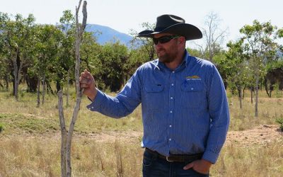 NQ Dry Tropics' Landholders Driving Change (LDC) Grazing Senior Officer Mick Shannon.