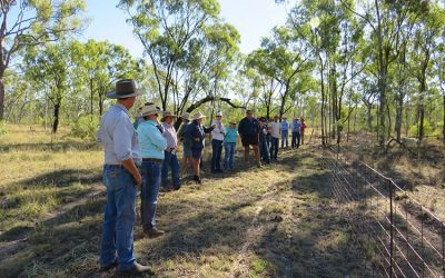 Discussing grazing management practices.
