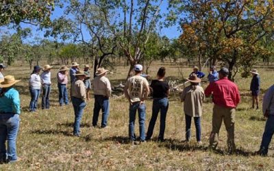 Graziers discuss landscape rehydration methods.