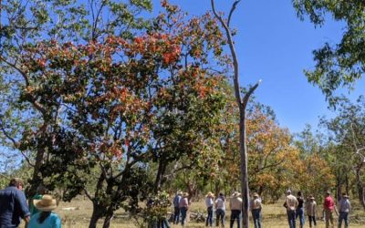 Graziers inspect a rehydration site to discuss how rehydration methods and grazing management work hand in hand.