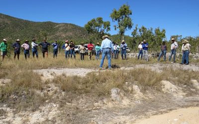 A discussion about fundamental natural processes and functions to help managers to identify variables and issues when making land management decisions.
