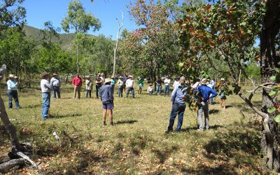 The group discusses increasing water infiltration, reducing erosion and getting the most from pastures by using landscape rehydration and grazing management.