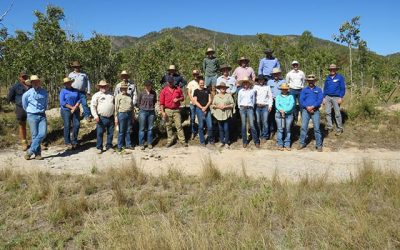 A group of 25 graziers attended the Worona Station field day.