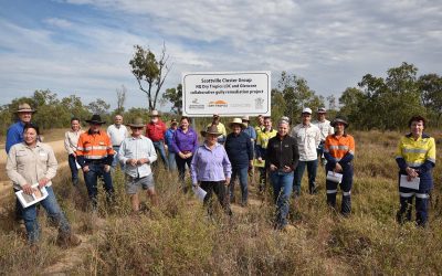 A group of 25 including landholders, local earthworks contractors and representatives from Glencore, Whitsunday Regional Council and Department of Agriculture and Fisheries (DAF) attended the Scottville Cluster Group field day. They are pictured at a sign located in the vicinity of the six participating properties. It acknowledges the partnership between the NQ Dry Tropics' LDC project and Glencore.