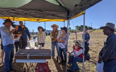 Workshop presenter John Hughes, a soils consultant, pictured left, discusses soils constraints at the Eungella Soil and Pasture field day held in July.