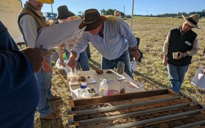 Carrying out soil assessments ncluding structure, pH and water infiltration at July's Eungella soil and pasture field day are pictured from left, Jim Fletcher (DAF), landholder Debra Channell, John Hughes (soils consultant) and Roxanne Morgan (DAF).