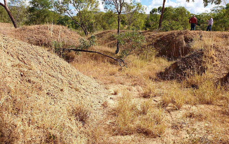 z_2_gully_20200430_142500_950x600