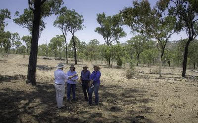 Wade Agriculture Consultants principal Jim Wade (left) talks with Rod and Julie Angus, Mt Crompton Station and NQ Dry Tropics Grazing Field Officer Adrienne Hall (right).