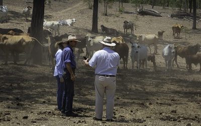 Rod and Julie Angus, Mt Crompton Station with Jim Wade (right).