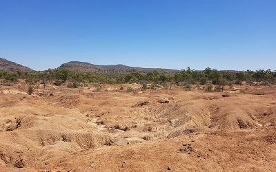 Initial earthworks at the Glen Bowen gully remediation site includes reshaping the complex gully network to form two stabilised free-draining basins.