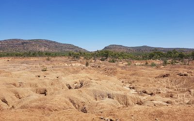 Initial earthworks at the Glen Bowen gully remediation site includes reshaping the complex gully network to form two stabilised free-draining basins.