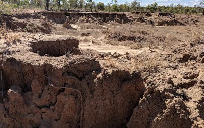 Initial earthworks at the Glen Bowen gully remediation site includes reshaping the complex gully network to form two stabilised free-draining basins.
