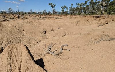 Initial earthworks at the Glen Bowen gully remediation site includes reshaping the complex gully network to form two stabilised free-draining basins.