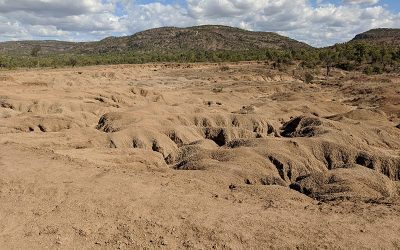 Initial earthworks at the Glen Bowen gully remediation site includes reshaping the complex gully network to form two stabilised free-draining basins.