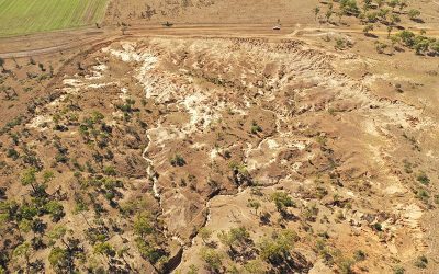 Initial earthworks at the Glen Bowen gully remediation site includes reshaping the complex gully network to form two stabilised free-draining basins.