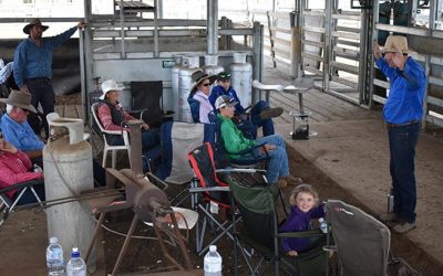 A theory lesson in the shed with Jim Lindsay.