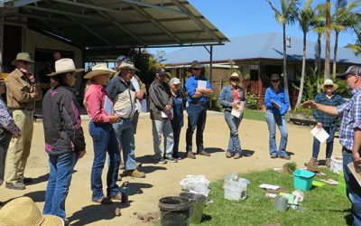 Good soil knowledge is essential for landholders to make decisions that will increase yield and profitability, and improve environmental outcome