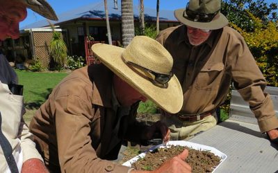 Larry Lush, Ben Fredrickson and Greg Lennox assessing and scoring soil organism diversity.
