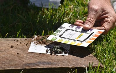 Assessing soil pH.