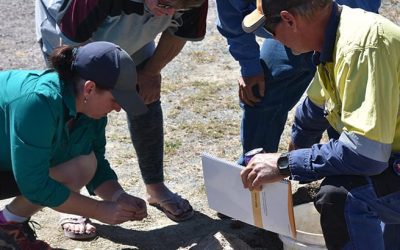 Brooke and Barry Collett assessing aggregate strength for slaking and dispersion.