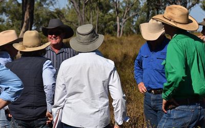 At Glenalpine graziers discussed ways to change the landscape with soil health, and the effect of appropriate grazing management on the infiltration of rainfall and the water-use efficiency of plants, drought survival, biodiversity, organic matter levels, soil biota, soil structure and the building of new topsoil.