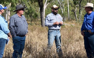 Simone Howard, Wootoonvale, Dan Kenny, Dartmoor, Chris Wendelborn, Wentworth, and Barry O'Sullivan, Glenalpine.