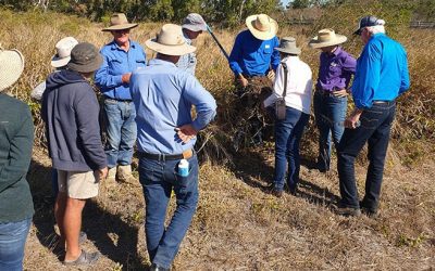 Inspecting soil and discussing grazing management practices on Glencoe, near Bowen.