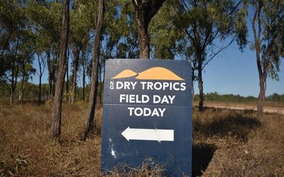 All signs lead to a soil workshop.