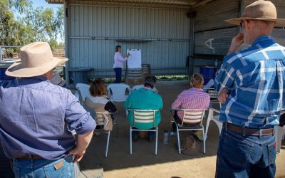Christine Jones talks about soil health at the Weetalaba Station workshop.